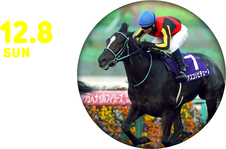 12.8 SUN 阪神ジュベナイルフィリーズ[GI]