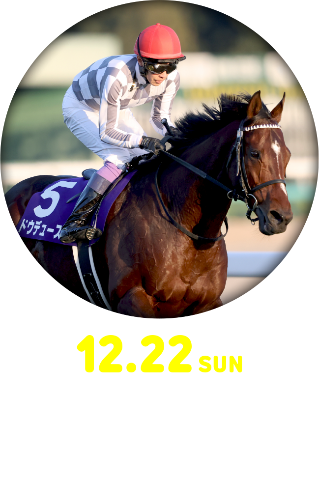 12.22 SUN 有馬記念[GI] 中山競馬場