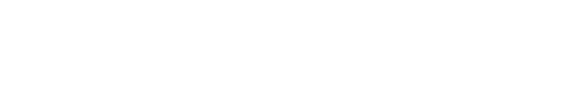 その年にデビューしたばかりの2歳牝馬たちが競う若き女王を決めるレース